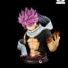 8b59Ra5w.jpeg Tsume Art Fairy Tail Natsu Dragneel Life-Size Bust