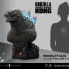 lsgvk a size