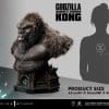 LSGVK-02_a04_height.jpg lsgvk a height