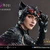 mmdc dxs catwoman leebermejo dxs a