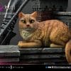 mmdc dxs catwoman leebermejo dxs b
