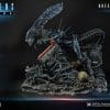 PMDHAL-03_a07.jpg pmdhal a