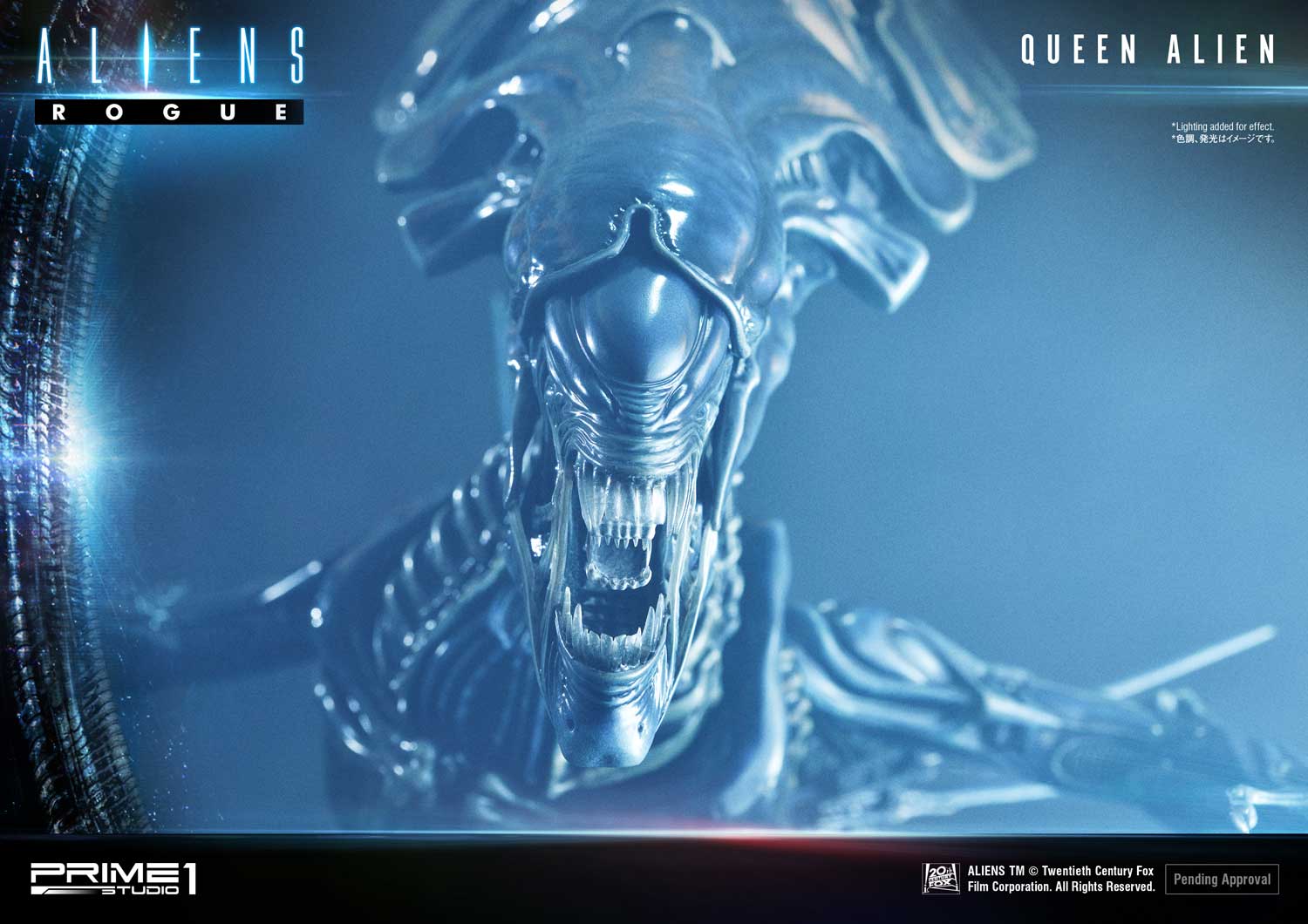 PMDHAL-03_b01.jpg pmdhal b