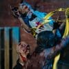 resident evil jill valentine promo