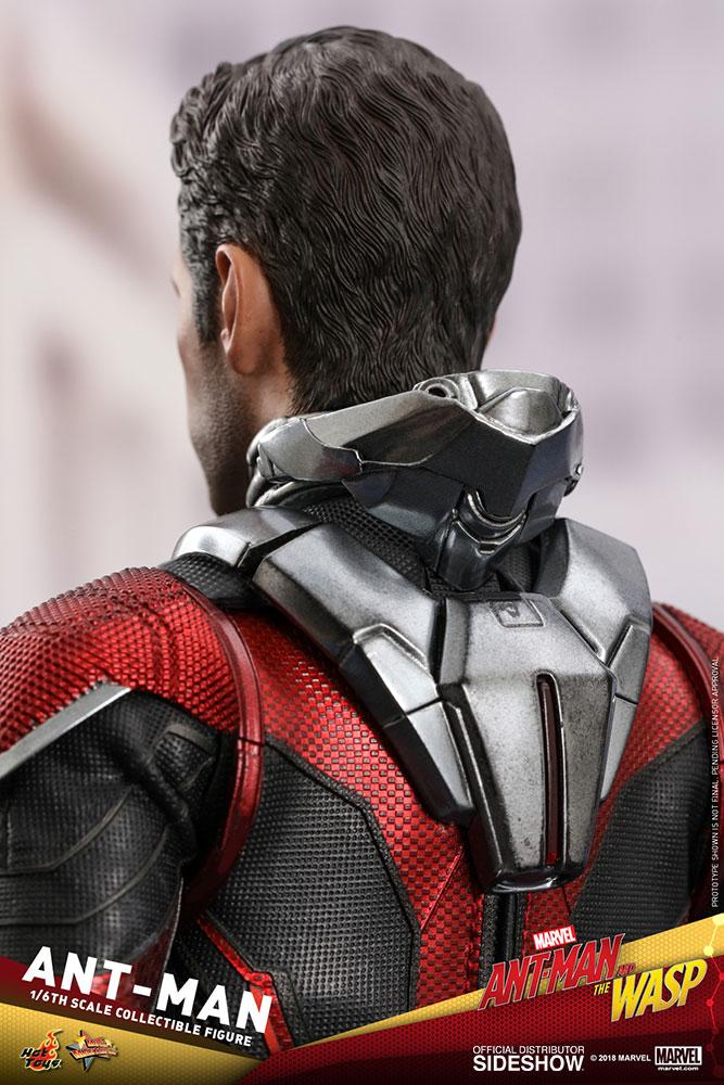 ant man marvel gallery c c b bd