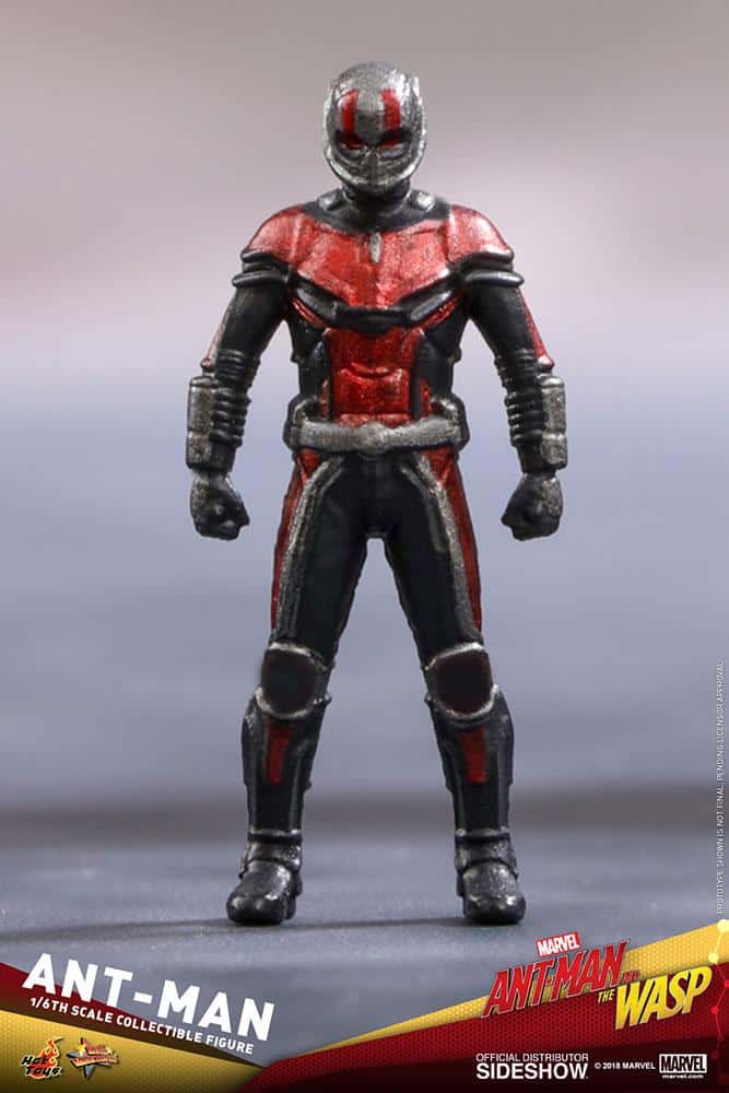 ant man marvel gallery c c b a