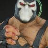bane dc comics gallery f c a