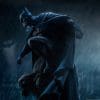 batman_dc-comics_gallery_5eb1ab3c5fcf7.jpg batman dc comics gallery eb ab c fcf