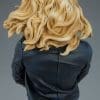 black canary dc comics gallery fb c d