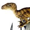 breakout raptor jurassic park gallery efd ab