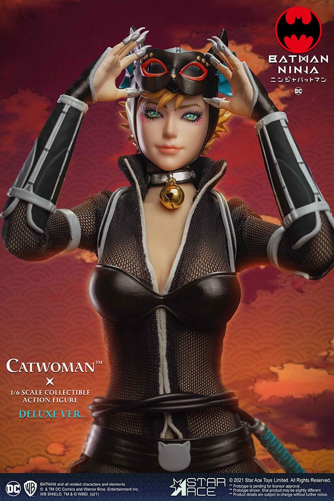 catwoman deluxe version dc comics gallery a b dc