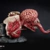 licker resident evil gallery cbc fec