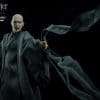 lord voldemort harry potter gallery b d fef