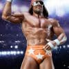 macho man randy savage wwe gallery ce ae c