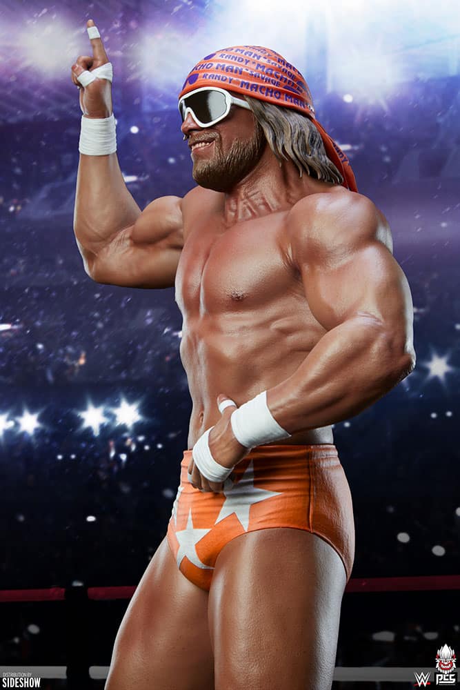 macho man randy savage wwe gallery ce b e