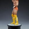 macho man randy savage wwe gallery ce a dfa