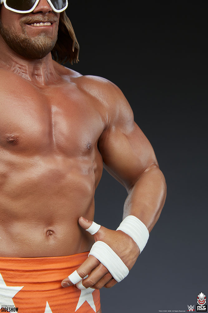 macho man randy savage wwe gallery ce cb c