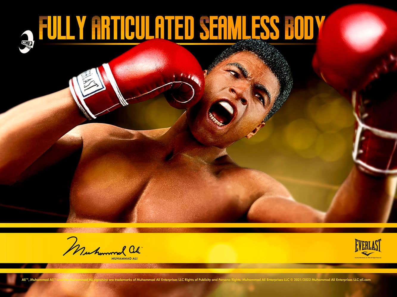 muhammad ali muhammad ali gallery adf c