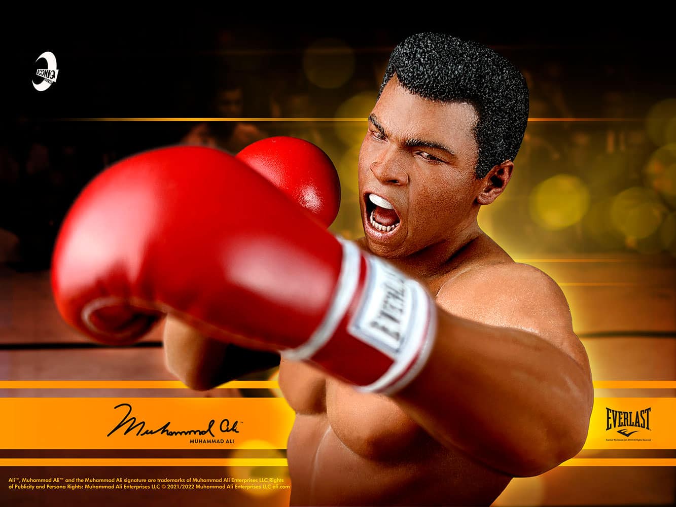 muhammad ali muhammad ali gallery adf e