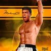 muhammad ali muhammad ali gallery adf fe