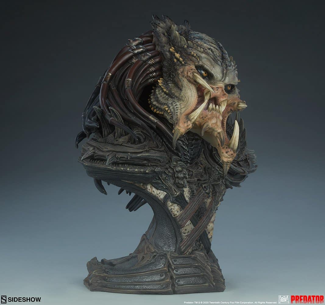 predator barbarian mythos predator gallery f bd c db b