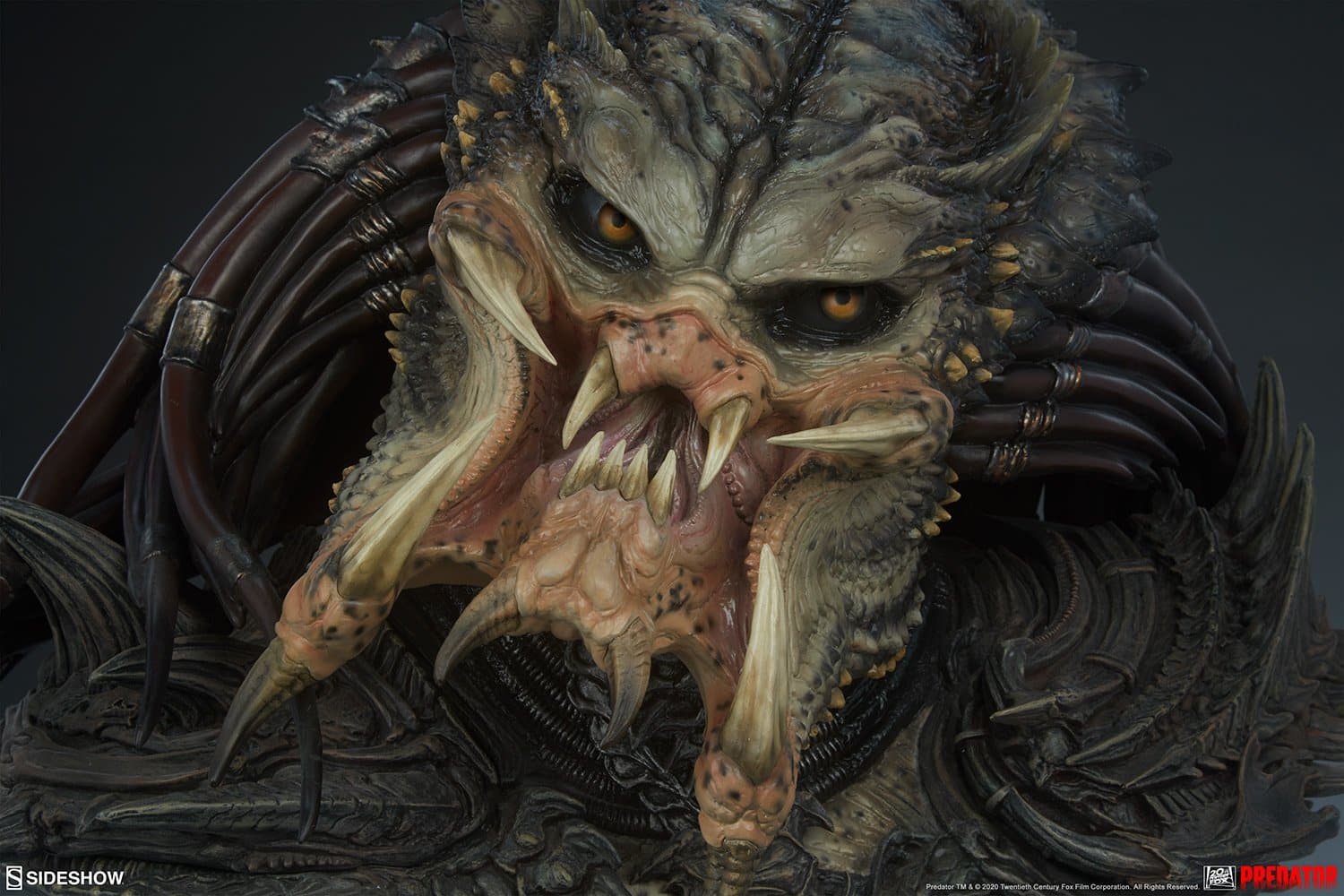 predator barbarian mythos predator gallery f bd ce