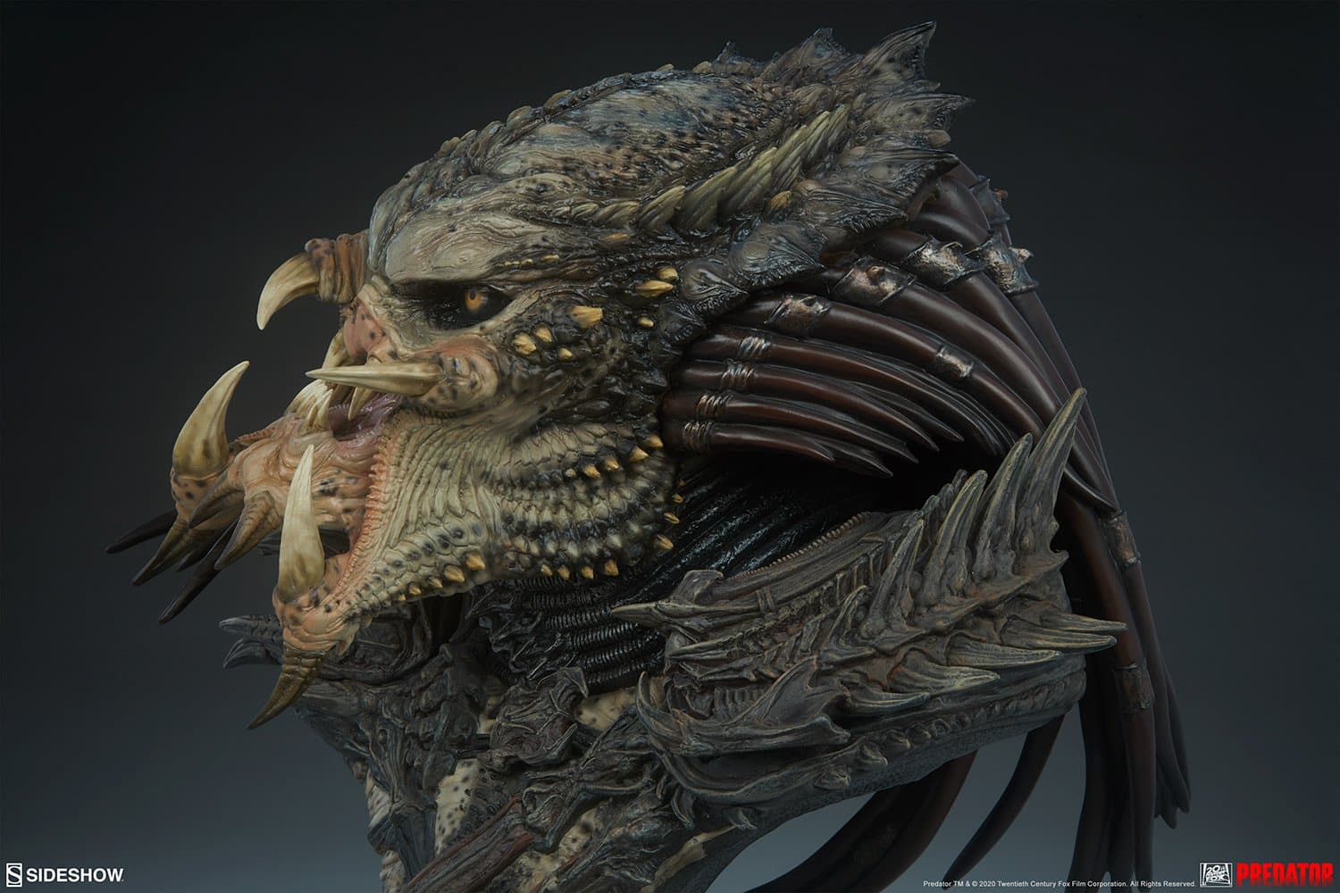 predator barbarian mythos predator gallery f bd e
