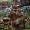 princess leia wicket star wars gallery d d a eac