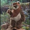 princess leia wicket star wars gallery d d e b