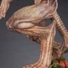 pumpkinhead pumpkinhead gallery e e a cd