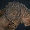 rancor deluxe statue star wars gallery dd c c b