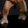 rancor star wars gallery c e e b d