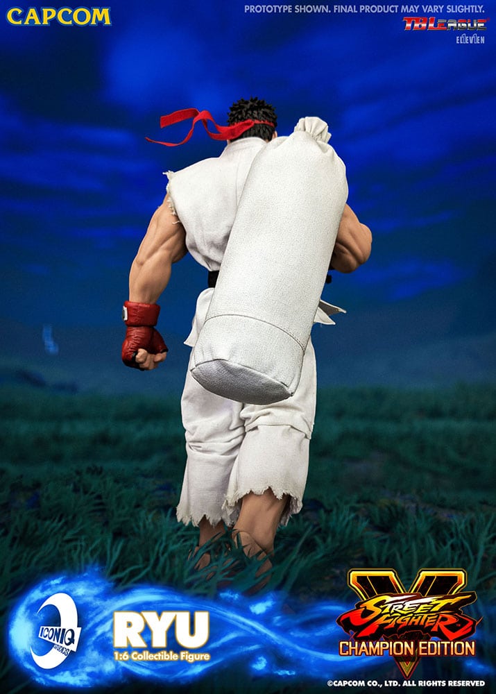 ryu_street-fighter_gallery_6155ee240c7a5.jpg ryu street fighter gallery ee c a