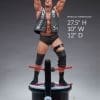 stone cold steve austin wwe gallery c f