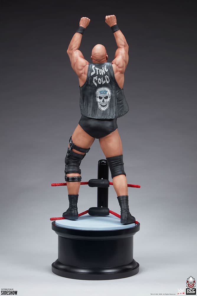 stone cold steve austin wwe gallery c a c a
