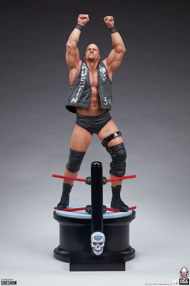 stone cold steve austin wwe gallery c a d a