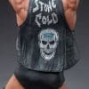 stone cold steve austin wwe gallery c a
