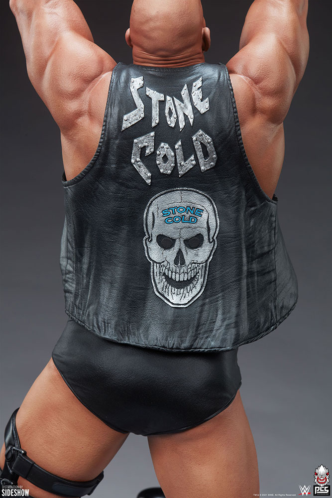stone cold steve austin wwe gallery c a