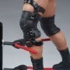 stone cold steve austin wwe gallery c a a f