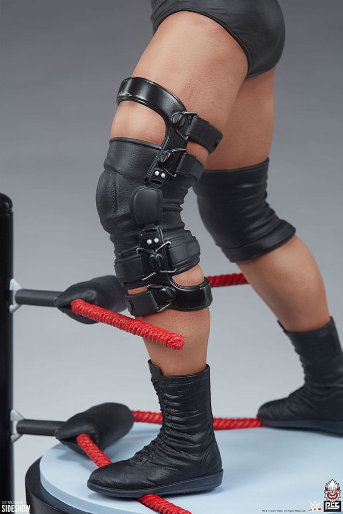 stone cold steve austin wwe gallery c a a f