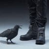 the crow the crow gallery a ea bc e