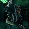 voldemort and nagini harry potter gallery c e b fc