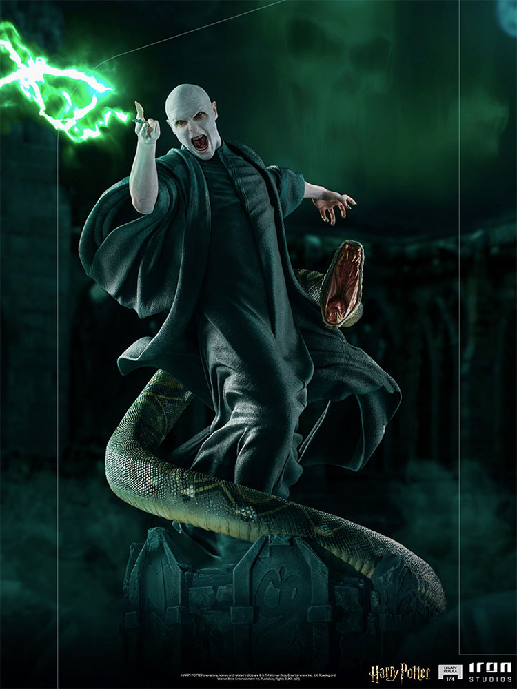 voldemort and nagini harry potter gallery c e b fc