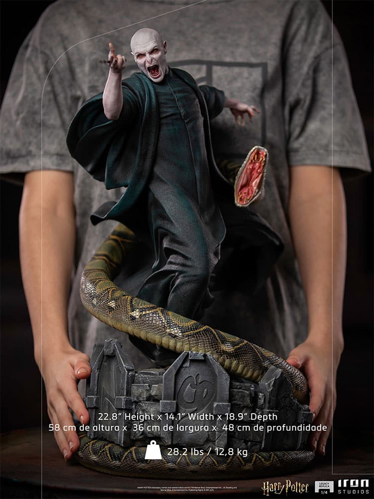 voldemort and nagini harry potter gallery c e c e e