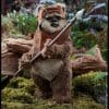 wicket star wars gallery d