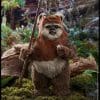 wicket star wars gallery d