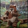 wicket star wars gallery d f
