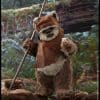 wicket star wars gallery d b