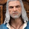 geralt deluxe gallery db