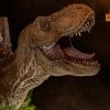 Jurassic World Dominion Tyrannosaurus Rex Wall-Mounted Bust